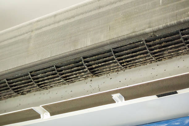 Best HVAC Air Duct Cleaning  in Crewe, VA