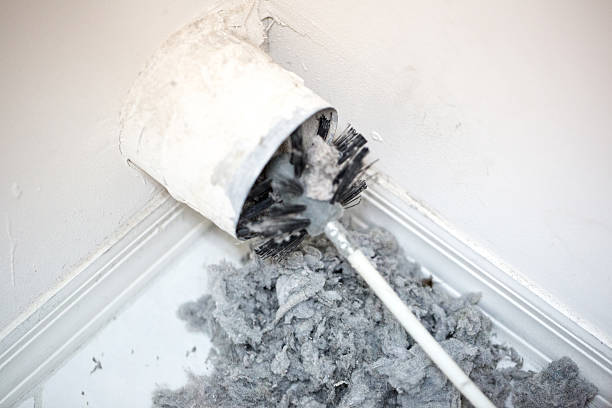 Best Professional Duct Cleaning Services  in Crewe, VA